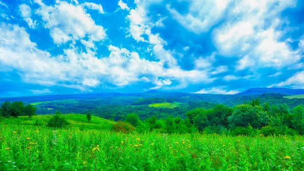 Lush Grass Meadows Slope Caucasus Mountains — Stock Photo, Image