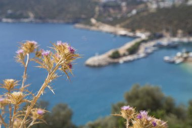 Deniz kenti Kalkan Turizm, Akdeniz maliyet. Antalya, Türkiye