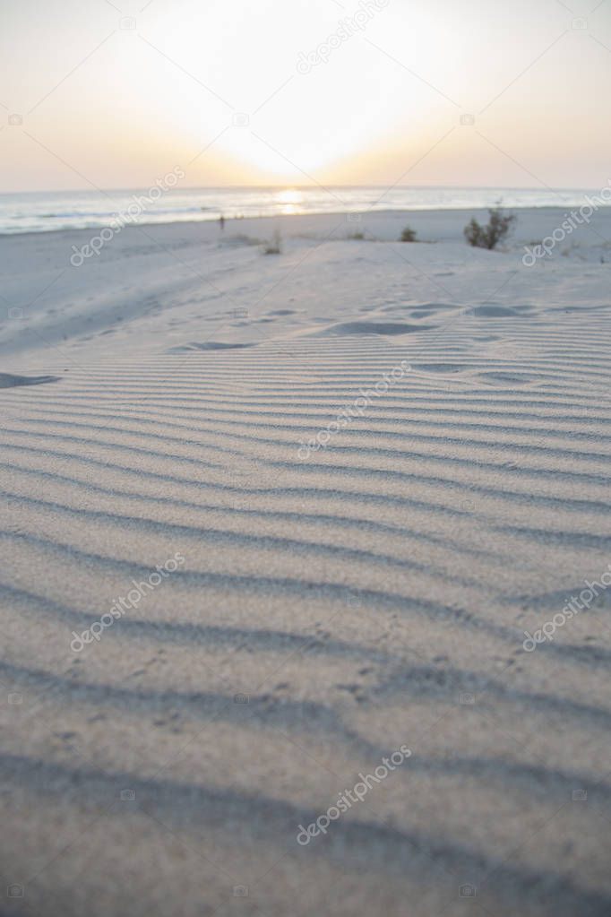 Sandy beach background for summer. Sand texture. Macro shot. Copy space in Patara, Antalya, Turkey