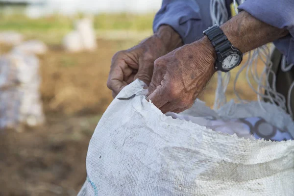 Old Farmer Man Preparing Potato Sacks Antalya Turkey — Stock Photo, Image