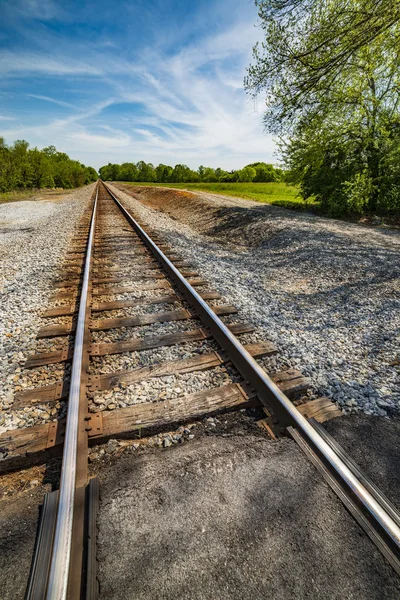 Gambar Vertikal Dari Rel Kereta Api Menghilang Dari Kejauhan — Stok Foto