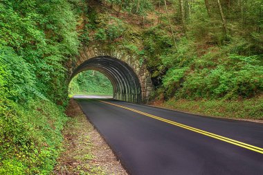 Yeni bir asfalt yol bir tünel Smoky Dağları Milli Parkı içinde Tennessee üzerinden gidiyor yatay çekim.