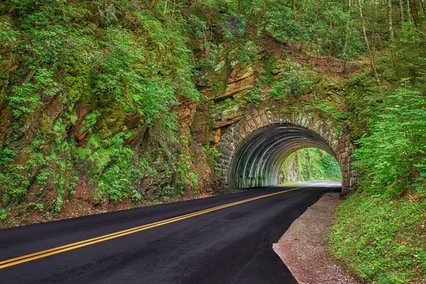 Horisontella Skott Smoky Mountain Tunnel Våren — Stockfoto