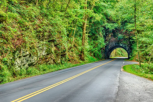 Fotografia Horizontal Túnel Nas Montanhas Smoky Caminho Cades Cove — Fotografia de Stock