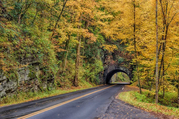 Tiro Horizontal Color Otoñal Que Rodea Túnel Montaña Humeante — Foto de Stock