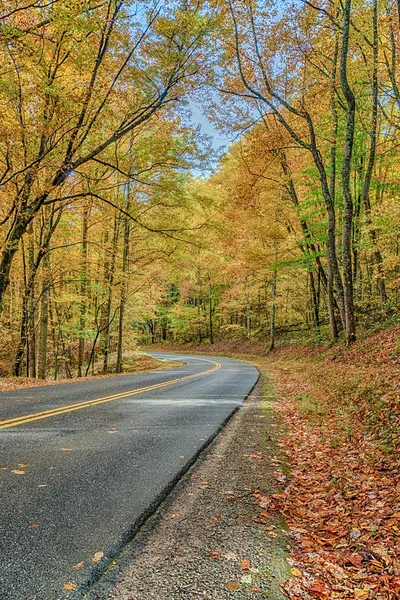 Senkrechte Aufnahme Einer Kurvenreichen Straße Durch Rauchige Herbstliche Bergpracht — Stockfoto