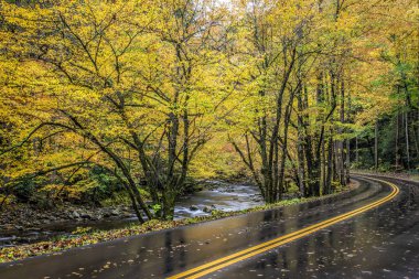 Dumanlı Dağlar sonbahar renk yoluyla Little Nehri yanındaki eğri bir yol yatay çekim.