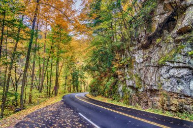 Horizontal shot of a Smoky Mountain road in the Autumn season. clipart