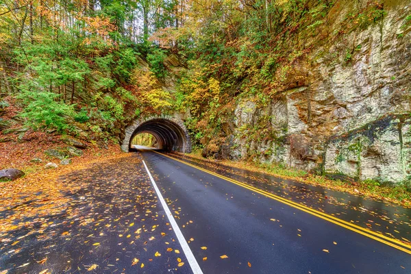 Horisontella Skott Smoky Mountain Tunnel Höstmorgon — Stockfoto