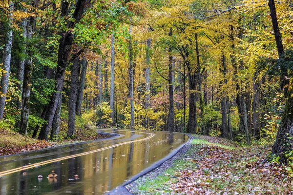 Horizontale Aufnahme Einer Nassen Rauchigen Bergstraße Mit Schönen Herbstfarben — Stockfoto