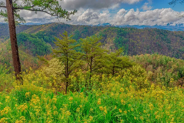 Color de primavera en las montañas humeantes —  Fotos de Stock