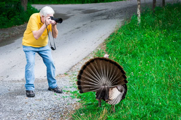 Fotografía Horizontal Fotógrafo Masculino Pelo Gris Maduro Tomando Una Foto — Foto de Stock