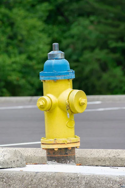 Vertical Shot Old Yellow Blue Fire Hydrant Copy Space — Stock Photo, Image