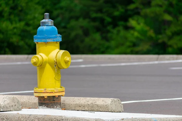 Horizontal Shot Old Yellow Blue Fire Hydrant Copy Space — Stock Photo, Image