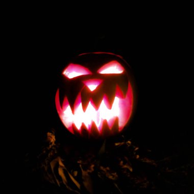 Korku-hoşlanmıyorsunuz arka plan dekorasyon için korkutucu yüz siyah kedi şeklinde Cadılar Bayramı günü All Saints kabak oyma