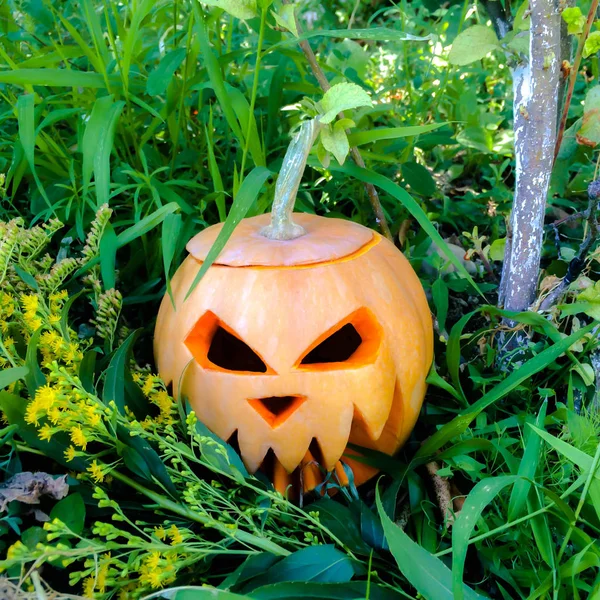 Halloween Fête Citrouille All Saints Sculpté Sous Forme Visage Effrayant — Photo