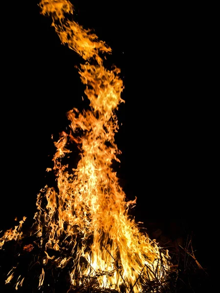 Fire Big Fire Dark Background — Stock Photo, Image