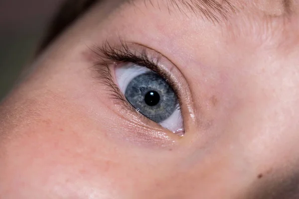 デザインのための薬のボディ部分のための目の赤ちゃん青いライト — ストック写真