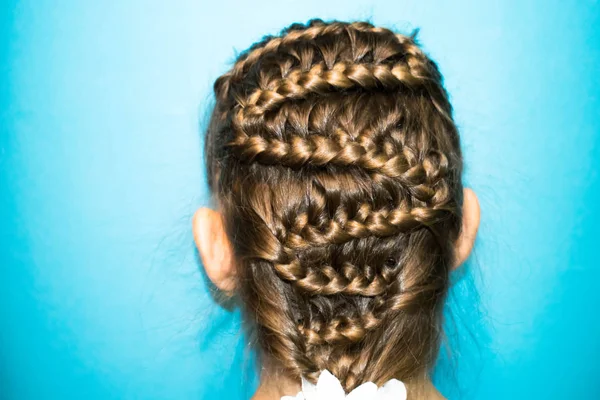 hair long light blond braids pigtails braided in the form of a snake hairdresser\'s hairdo to design the background
