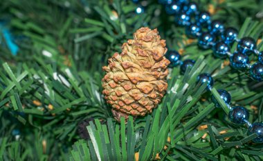mutlu yeni yıl Noel tatil Sardunya tinsel Noel ağaçları koniler sarı mavi renkli topları