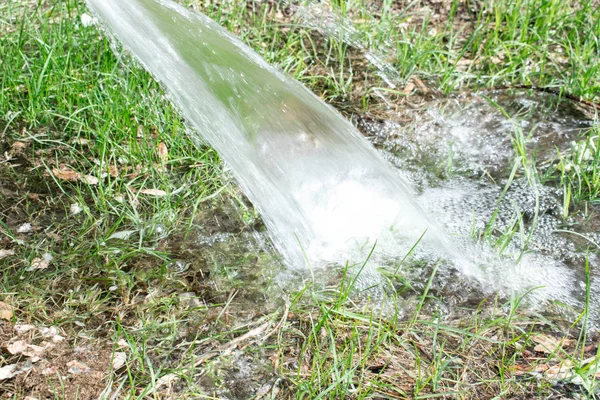 Water Head Fountain Dizayna Background Wallpaper — Stock Photo, Image