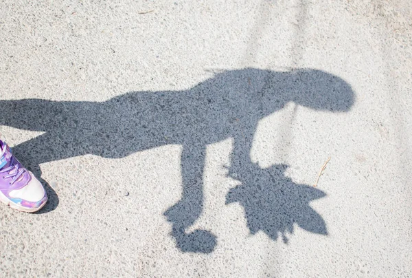 shadow of a child with a bouquet on a gray asphalt