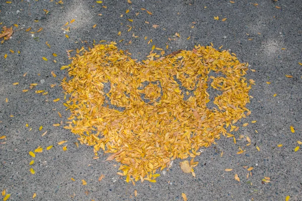 the heart on the asphalt is lined with yellow little autumn leaves with the inscription love for the background wallpaper background wallpaper