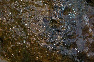 photoshop tasarım arka plan için için ıslak beton duvar