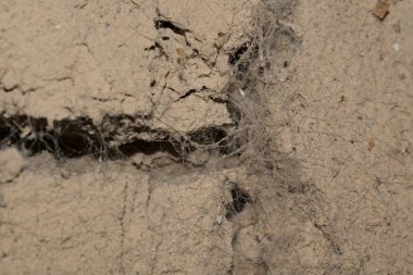 duvar tasarım arka plan için taşlar ve toprak gri kahverengi eski