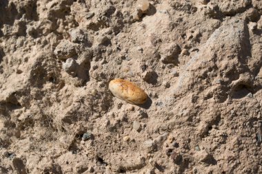 duvar tasarım arka plan için taşlar ve toprak gri kahverengi eski