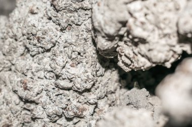 duvar tasarım arka plan için taşlar ve toprak gri kahverengi eski