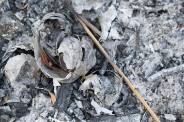 Kül Gri ateş için Photoshop tasarım için gelen arka plan kalır