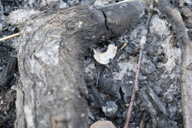 Kül Gri ateş için Photoshop tasarım için gelen arka plan kalır