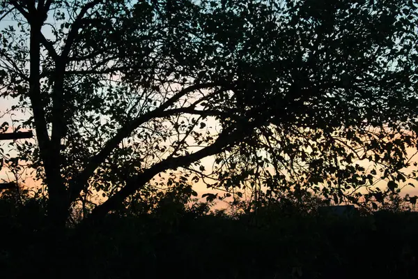 Puesta Sol Campo Hermoso Para Fondo Para Diseño — Foto de Stock