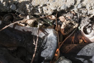 kırık cam şişe çöp toprak çevre kirliliğine tasarımı için