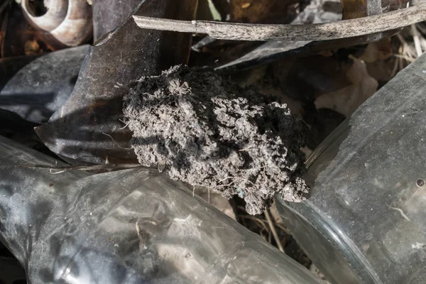 kırık cam şişe çöp toprak çevre kirliliğine tasarımı için