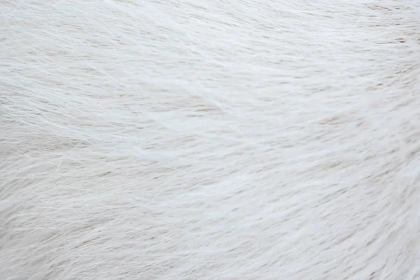 ウール動物光色の毛皮をデザインの背景 — ストック写真