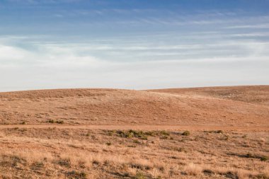 Tasarım için arka plan için geniş sarı Vadisi