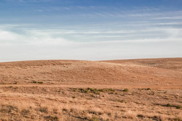 Breda Gula Dalen För Bakgrunden För Design — Stockfoto