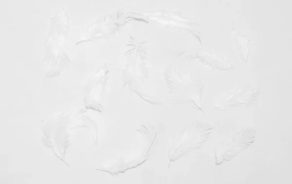 Белые Перья Белом Фоне Дизайна — стоковое фото