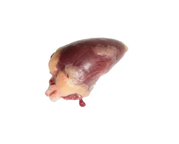 Kyckling Insidor Hjärtat Isolerad Vit Bakgrund För Design — Stockfoto