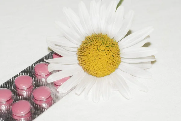 Medicine pill in pack and chamomile flower for medicine conceptual