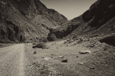 Altay vahşi dağların Nehri Vadisi, Altay Cumhuriyeti, Rusya'ya giden toprak yol