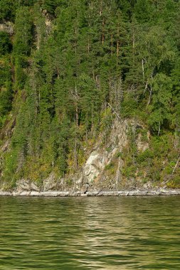 Vahşi Teletskoye kıyı Gölü parçası