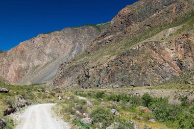 Toprak yol altay dağlarında güneşli gün, Altay Cumhuriyeti, Rusya Federasyonu