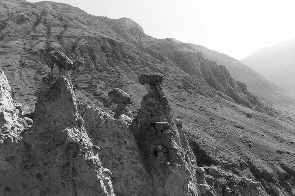 Formazioni Rocciose Naturali Pietra Funghi Pietra Nella Valle Del Fiume — Foto Stock