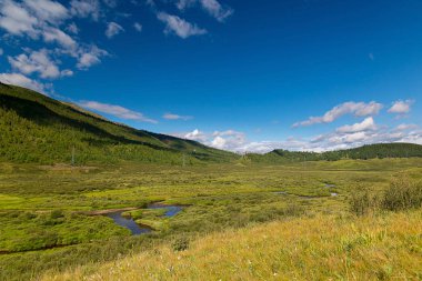 Büyük yeşil vadi Lake Cheybekkol Altay Dağları, Altay Cumhuriyeti, Rusya yakın. yeşil çayır, dağlar, tepeler, çim açık güneşli bir günde arasında küçük bir nehir