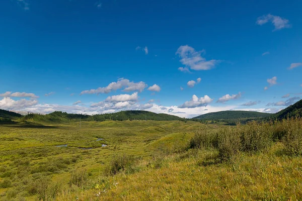 Green hills of the Altai mountain in a summer day, Russia. green grass, different size hills, blue sky, far away mountains