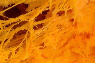 Kabak closeup, doku ve arka plan bilgi içinde turuncu. kabak çekirdeği, kabak ortasında varjnm liflerinin