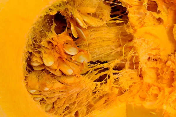 Pumpkin in the cut, its internal content, seeds and fibers, texture and background. Pumpkin seeds close up, fibers are orange, the structure inside the pumpkin